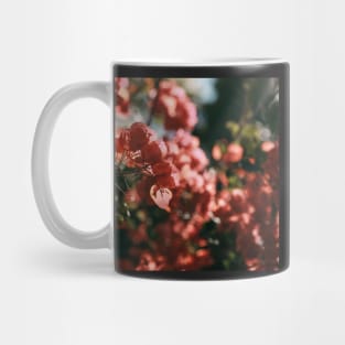 Southern Sun Mug